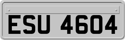 ESU4604