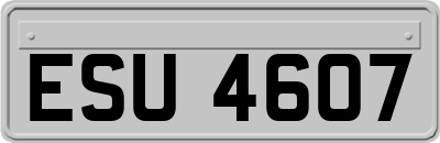 ESU4607
