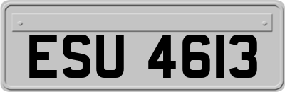 ESU4613
