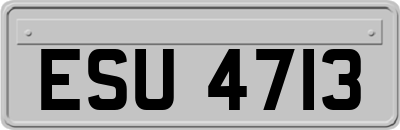 ESU4713