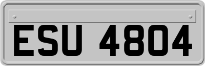 ESU4804