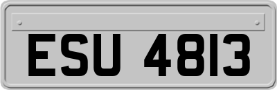ESU4813