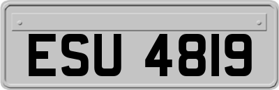 ESU4819