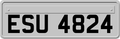 ESU4824