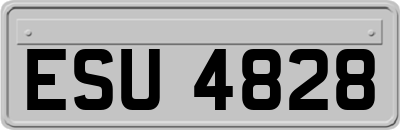ESU4828