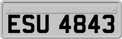 ESU4843