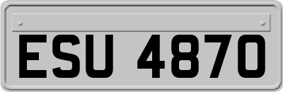 ESU4870