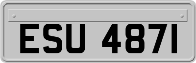ESU4871