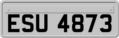 ESU4873