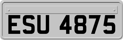 ESU4875
