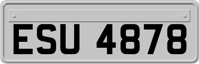 ESU4878