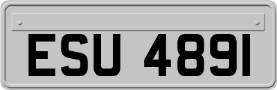 ESU4891