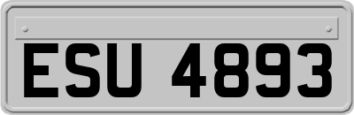 ESU4893