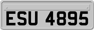ESU4895