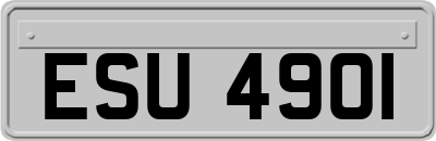 ESU4901