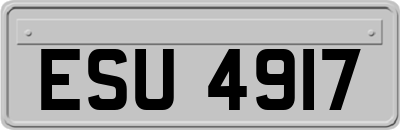 ESU4917