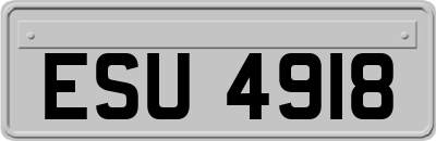 ESU4918
