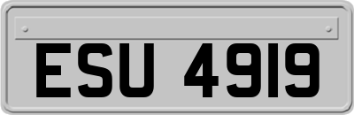ESU4919