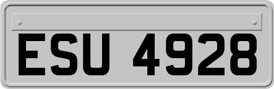ESU4928