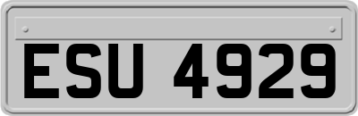 ESU4929