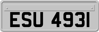 ESU4931