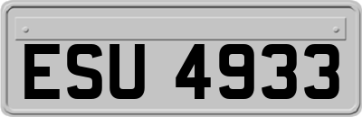 ESU4933
