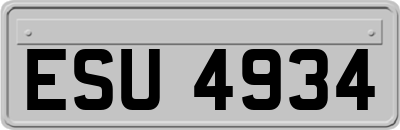 ESU4934