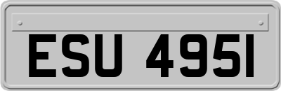 ESU4951