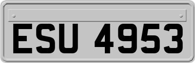 ESU4953