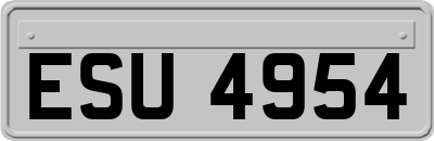 ESU4954