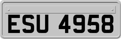 ESU4958