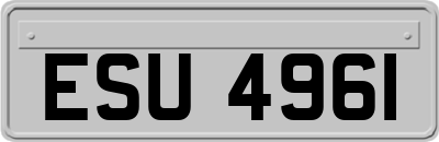 ESU4961
