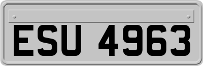 ESU4963