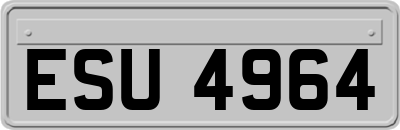 ESU4964