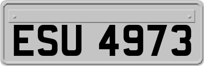 ESU4973