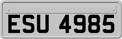 ESU4985