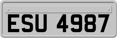 ESU4987
