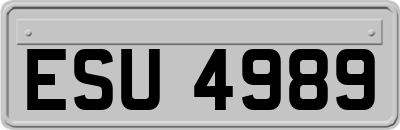 ESU4989