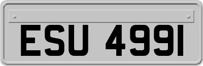 ESU4991
