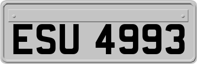 ESU4993