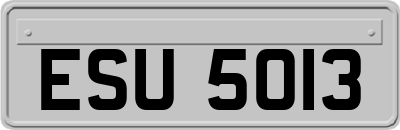 ESU5013