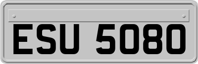ESU5080
