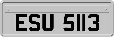 ESU5113