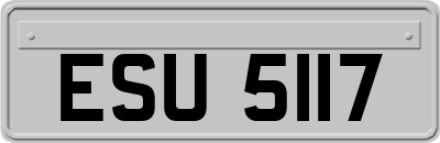 ESU5117