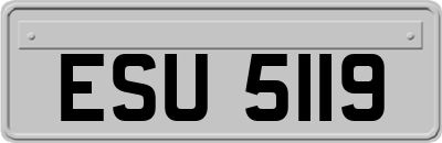 ESU5119