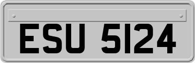 ESU5124