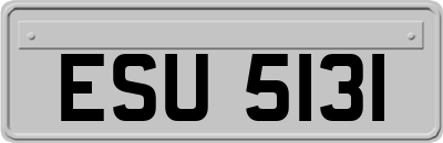 ESU5131