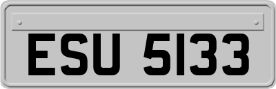 ESU5133