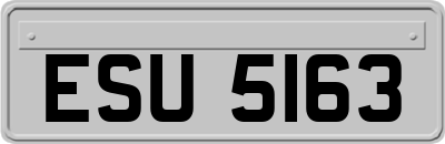 ESU5163