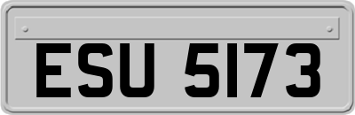 ESU5173